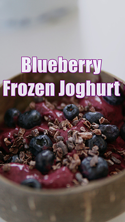 Blueberry Frozen Jogurt